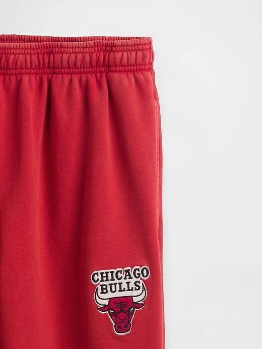 NBA Chicago Bulls Logo Heavyweight Joggers Product Image