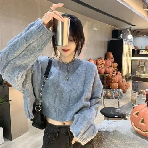 Crew Neck Plain Cable Knit Sweater Product Image