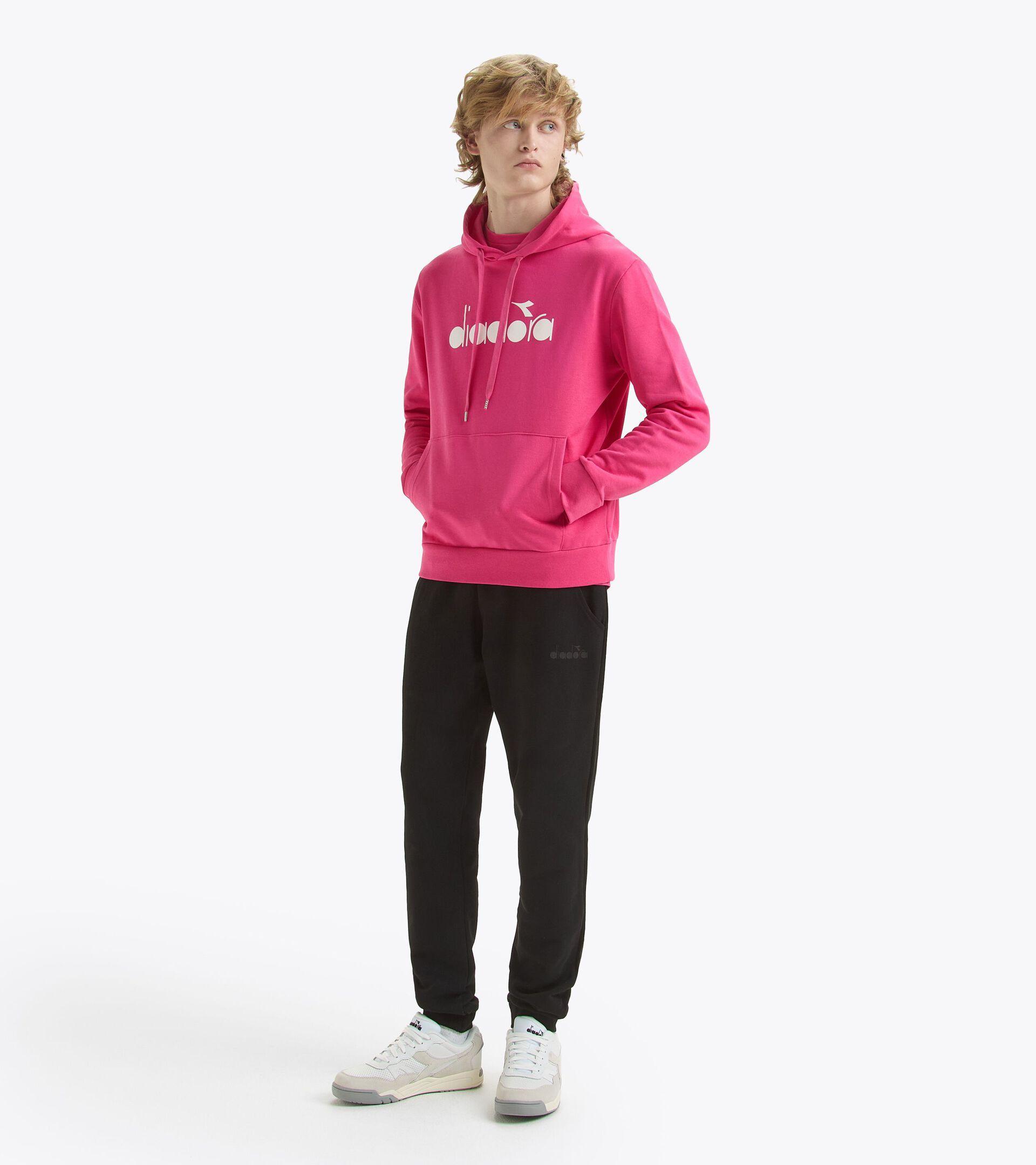 HOODIE LOGO Product Image