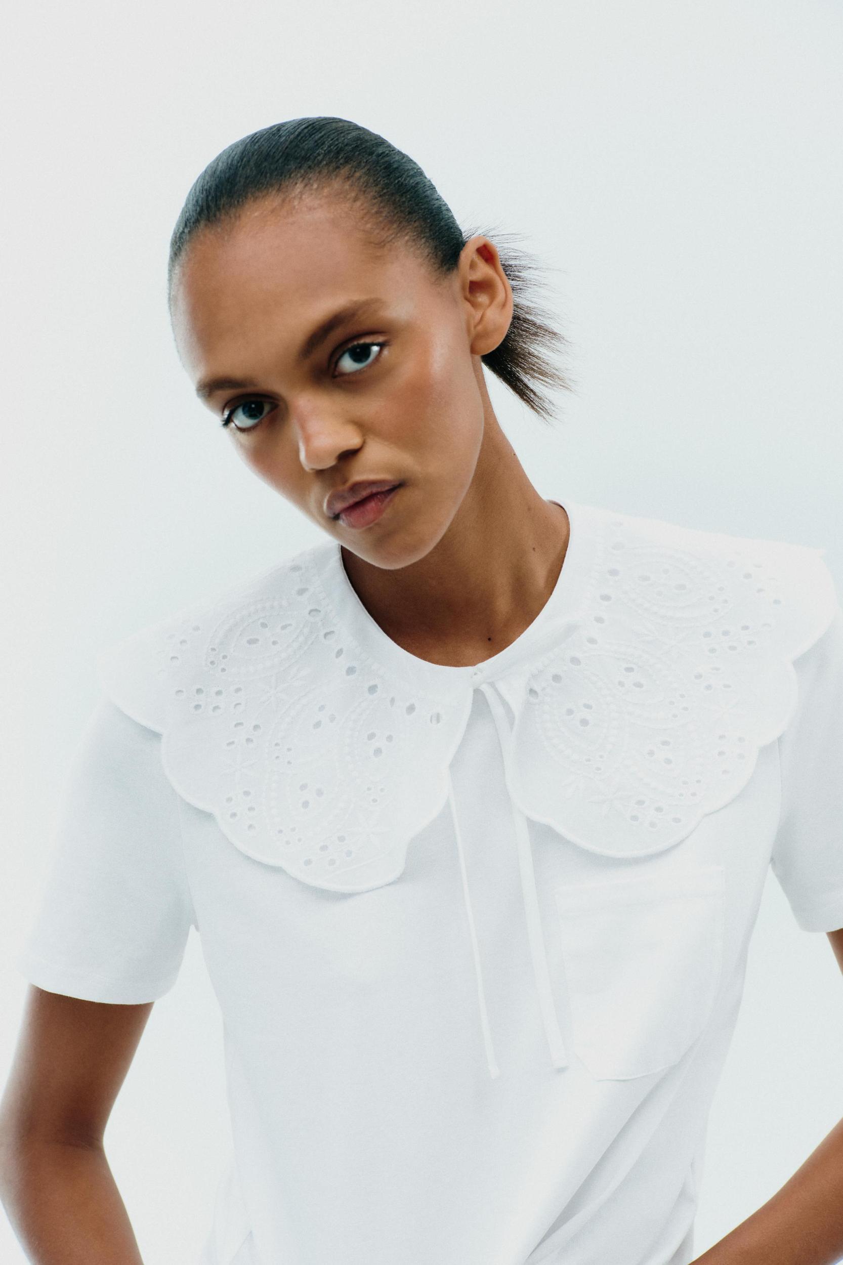 EMBROIDERED PETER PAN COLLAR T-SHIRT Product Image