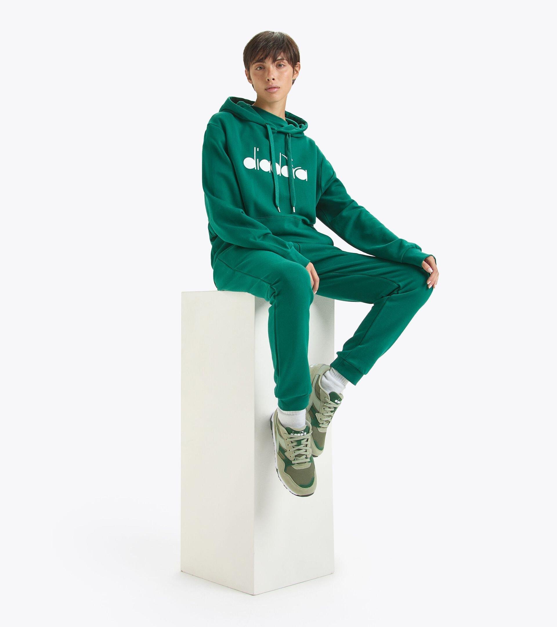 HOODIE LOGO Product Image