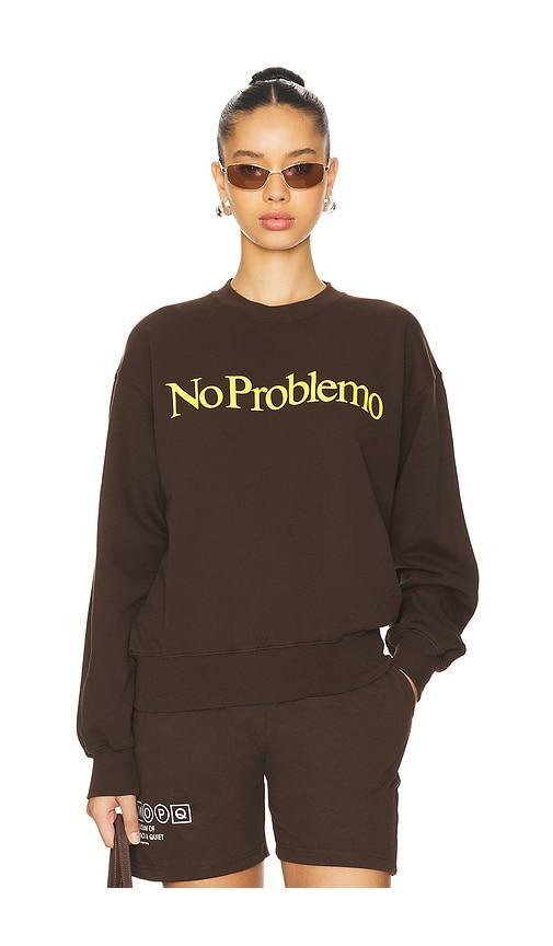 Sweatshirt No Problemo Product Image