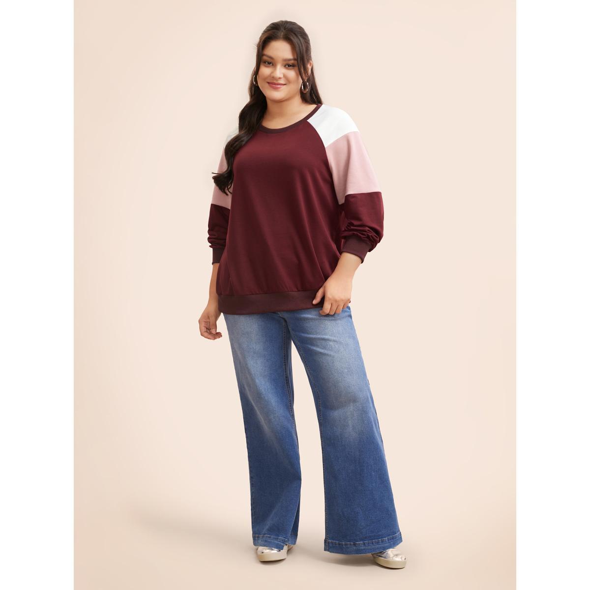 Plus Size Colorblock Contrast Raglan Sleeve Sweatshirt Women Multicolor Casual Contrast Round Neck Everyday Sweatshirts BloomChic 22-24/3X Product Image