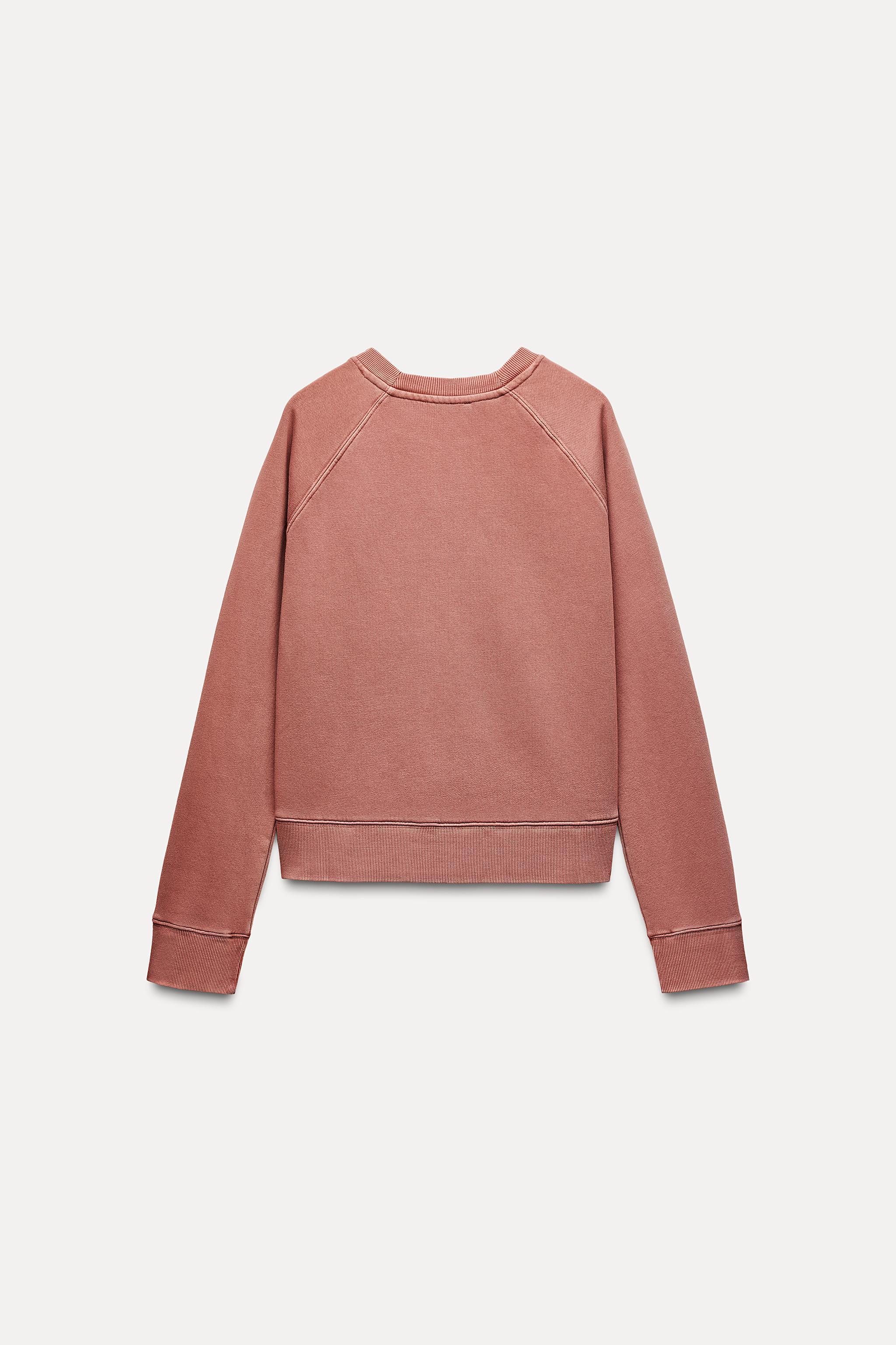 Sweatshirt made of spun cotton blend fabric. Round neck and long raglan sleeves. Tonal rib trim. Product Image