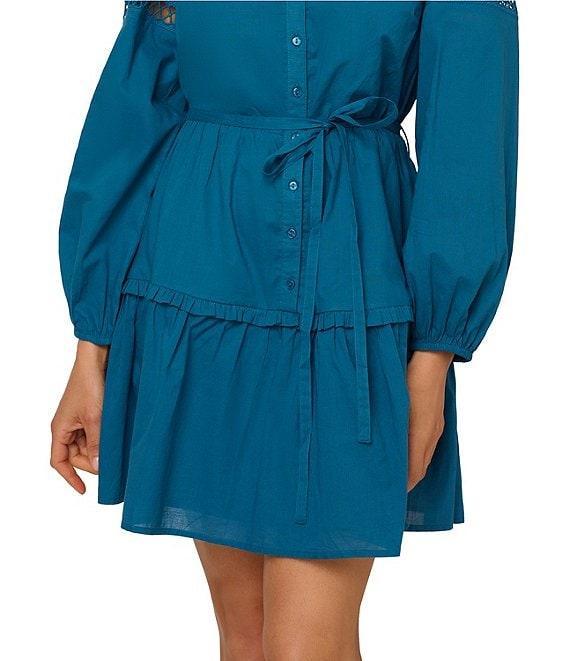 Adrianna Papell Long Sleeve Ruffle Tier Tie Waist Mini Dress Product Image