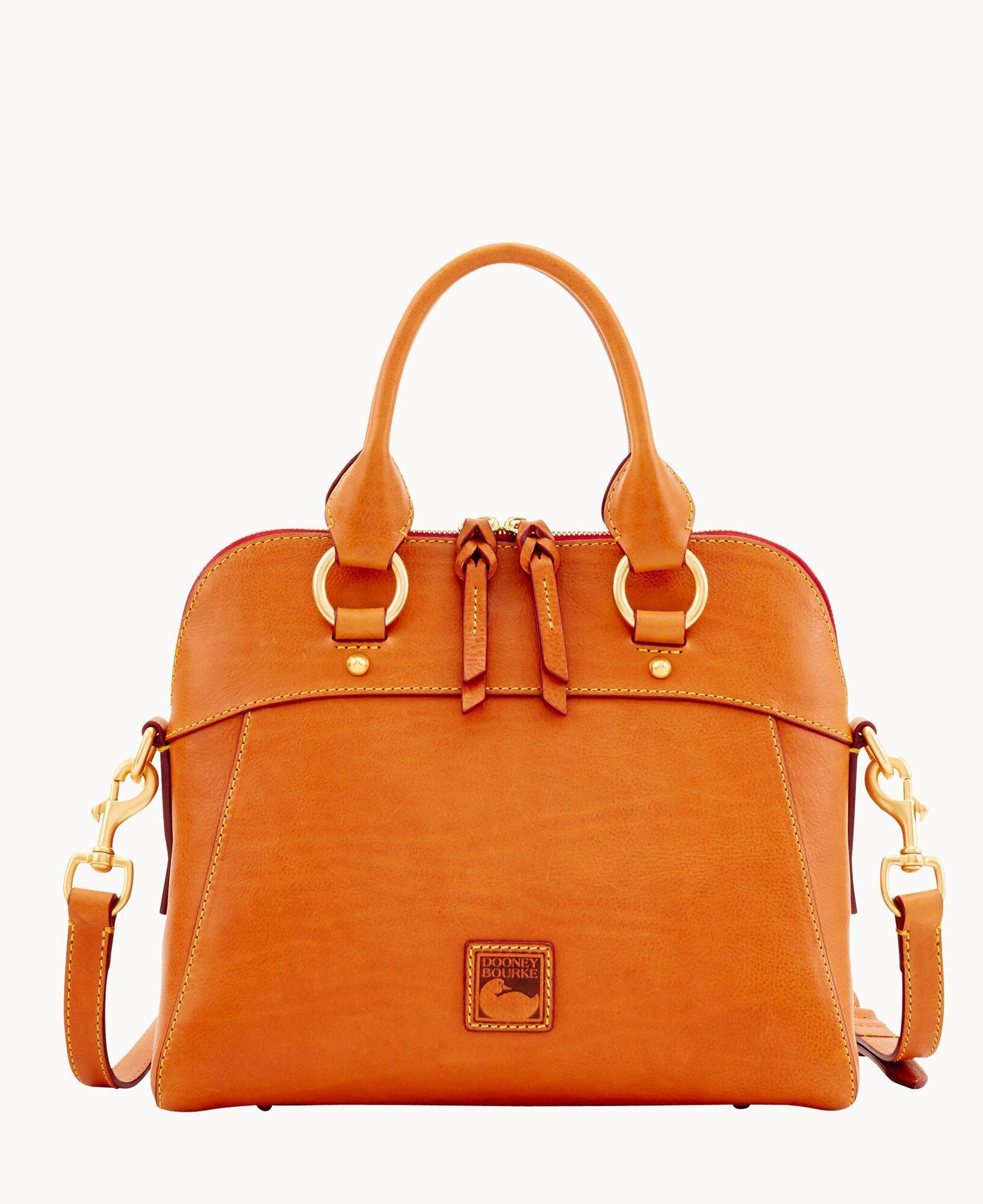 Dooney & Bourke Womens Florentine Cameron Leather Satchel Bag in Pale Blue Product Image