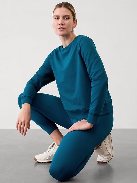 Retroterry Crewneck Sweatshirt Product Image