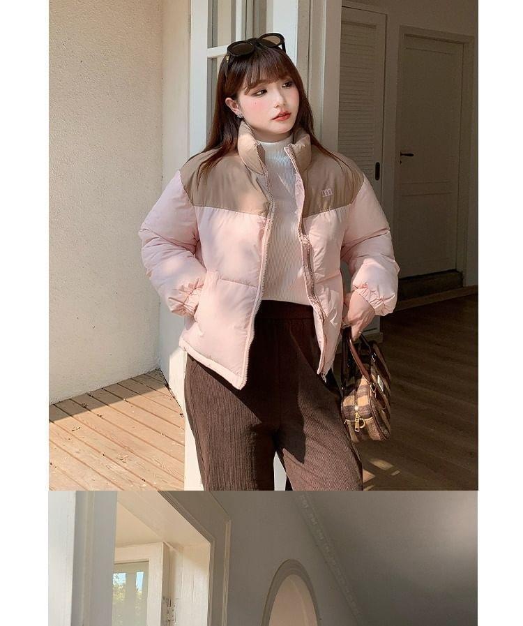 Two-Tone Padded Zip Jacket Product Image