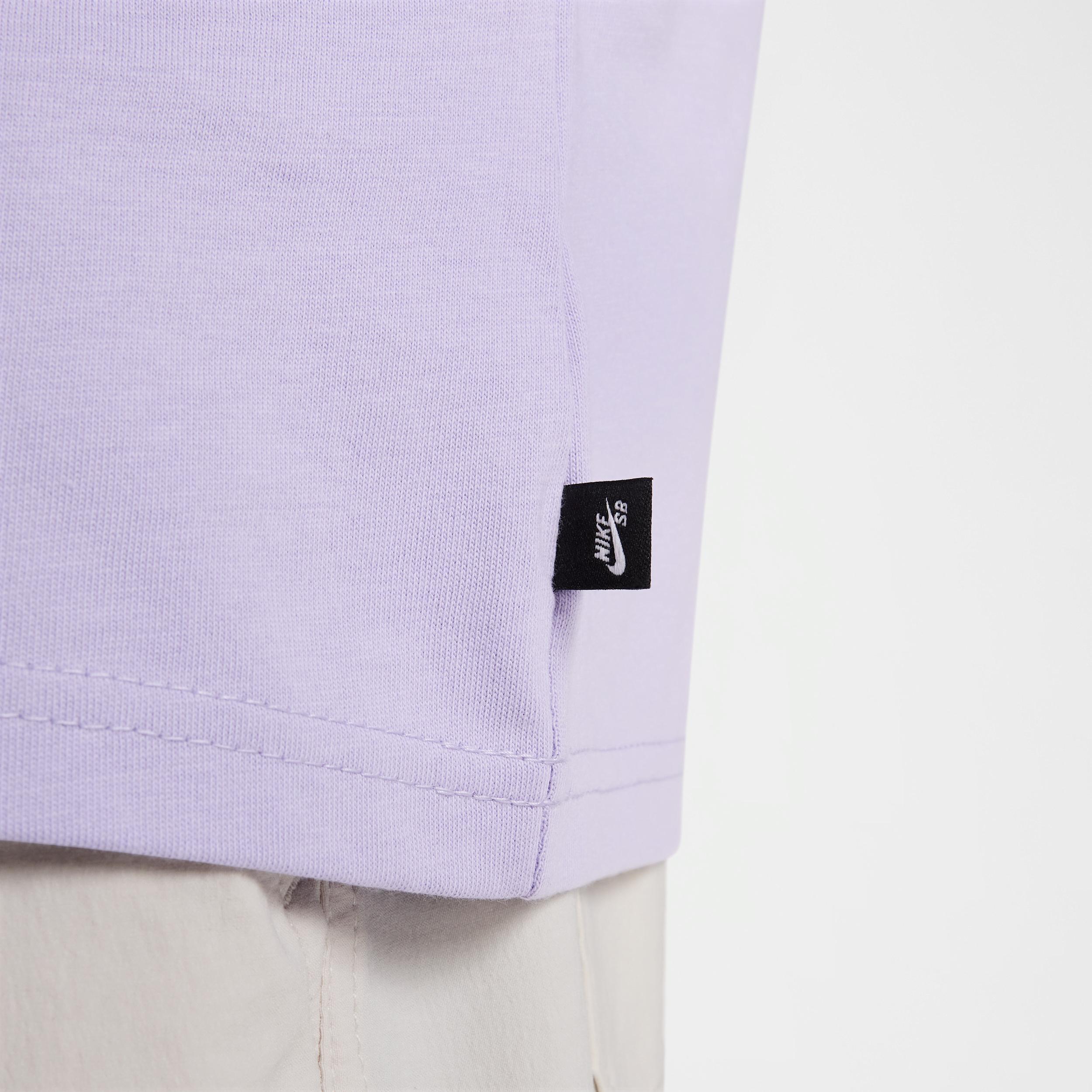 Men's Nike SB Long-Sleeved Max90 Skate T-Shirt Product Image
