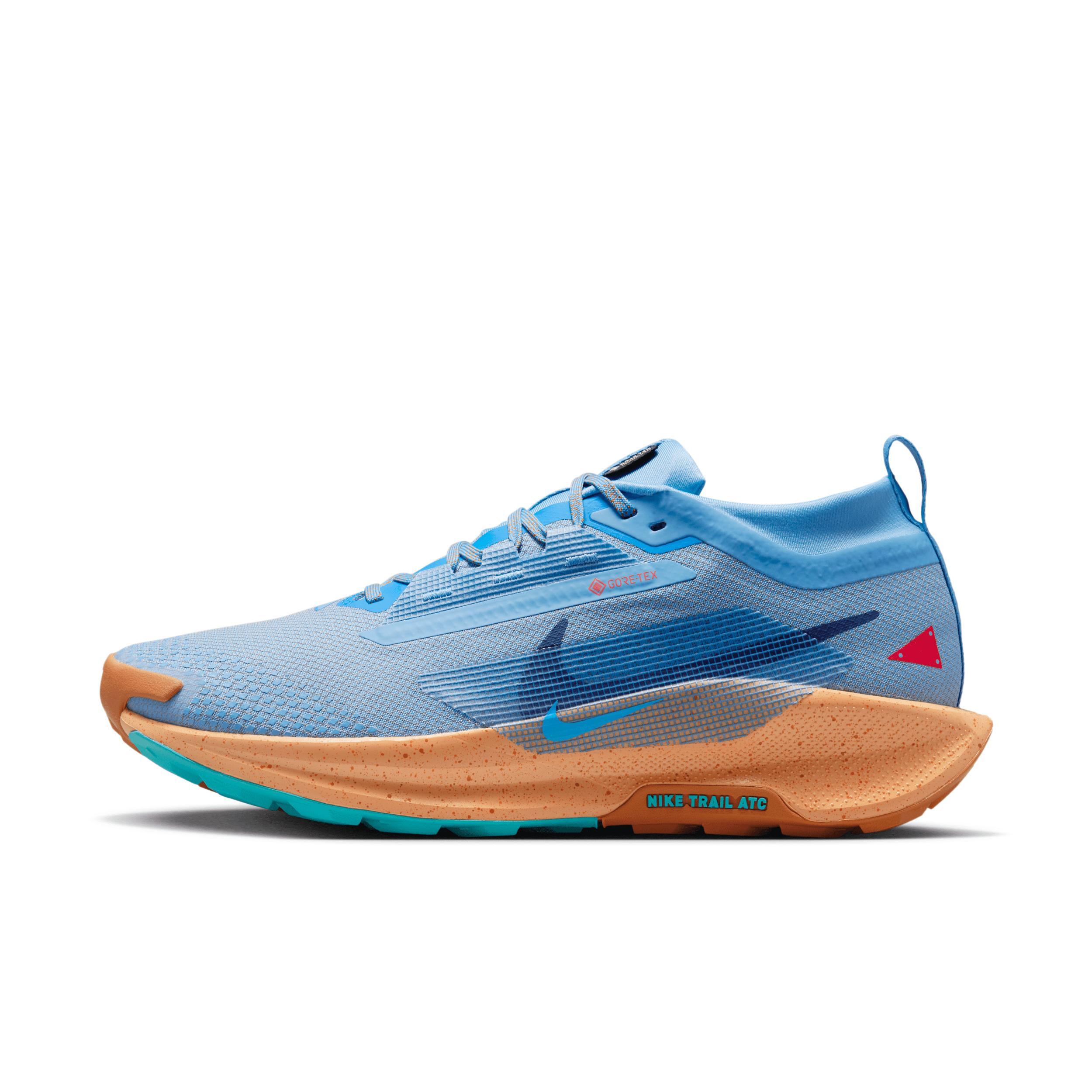 Nike Men's Pegasus Trail 5 GORE-TEX Waterproof Trail Running Shoes Product Image