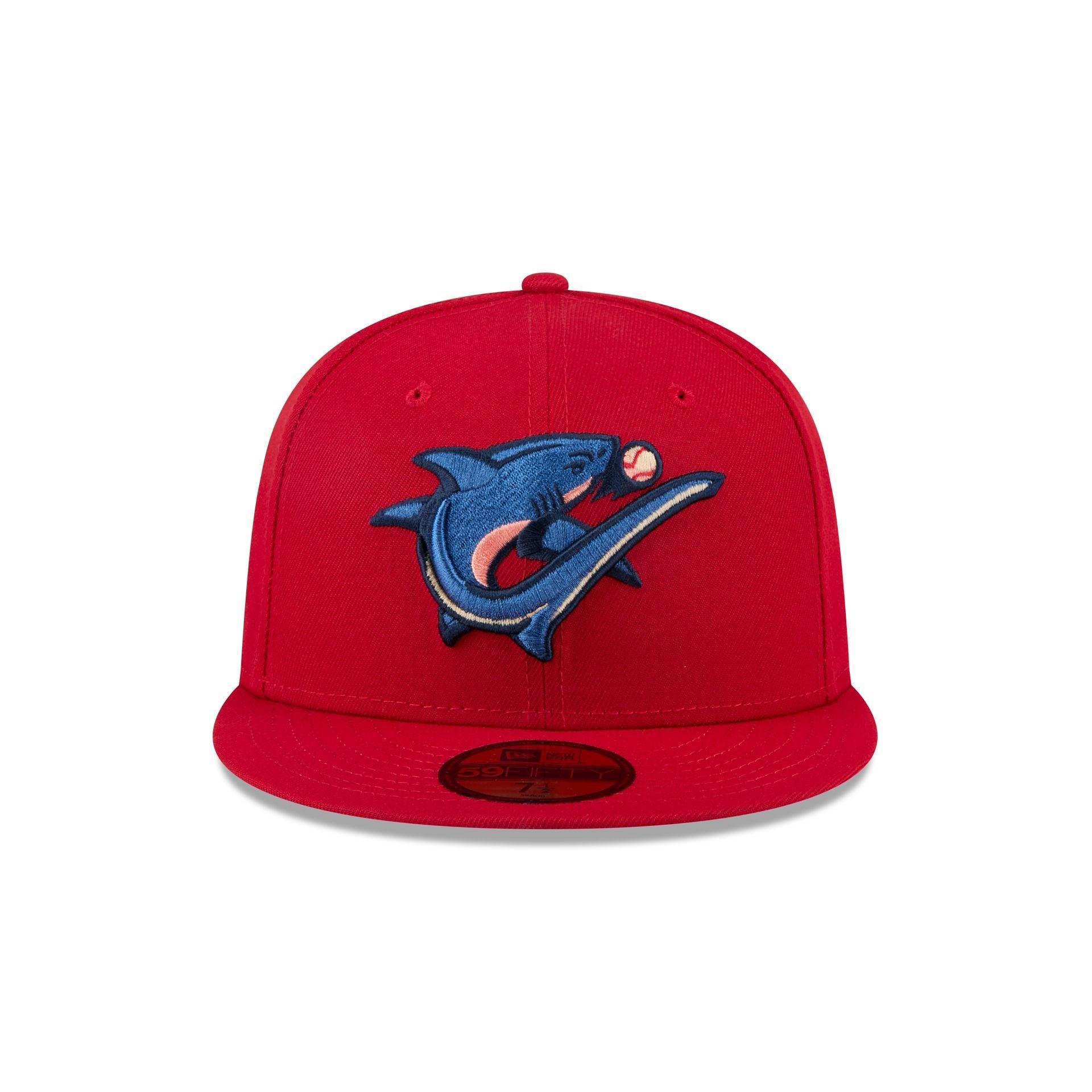 Detroit Lions Black On Black 9FIFTY Snapback Hat Male Product Image