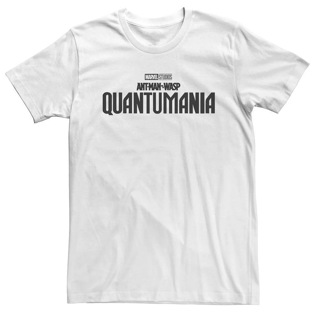 Big & Tall Marvel Ant-Man And The Wasp: Quantumania Logo Tee, Men's, Size: XXL Tall, White Product Image