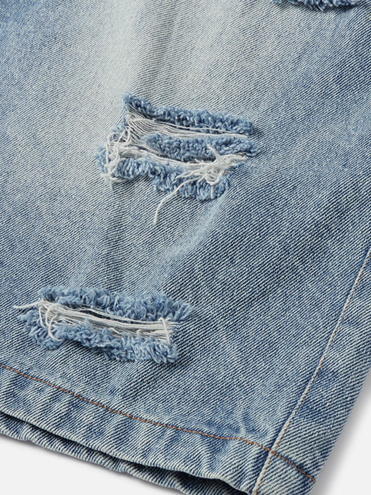 Aelfric Eden Applique Embroidery Longline Jorts Product Image