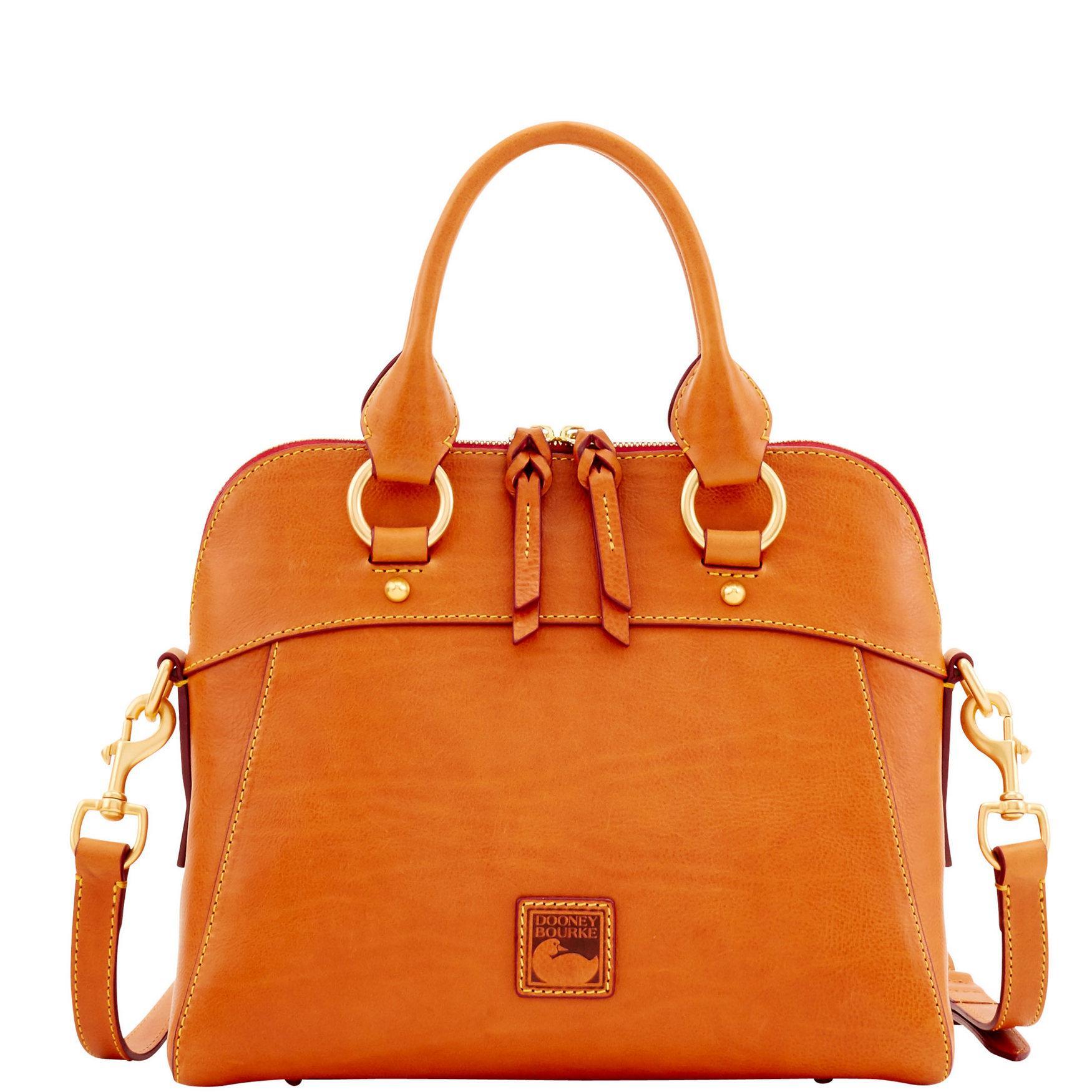 Dooney & Bourke Womens Florentine Cameron Leather Satchel Bag in Pale Blue Product Image