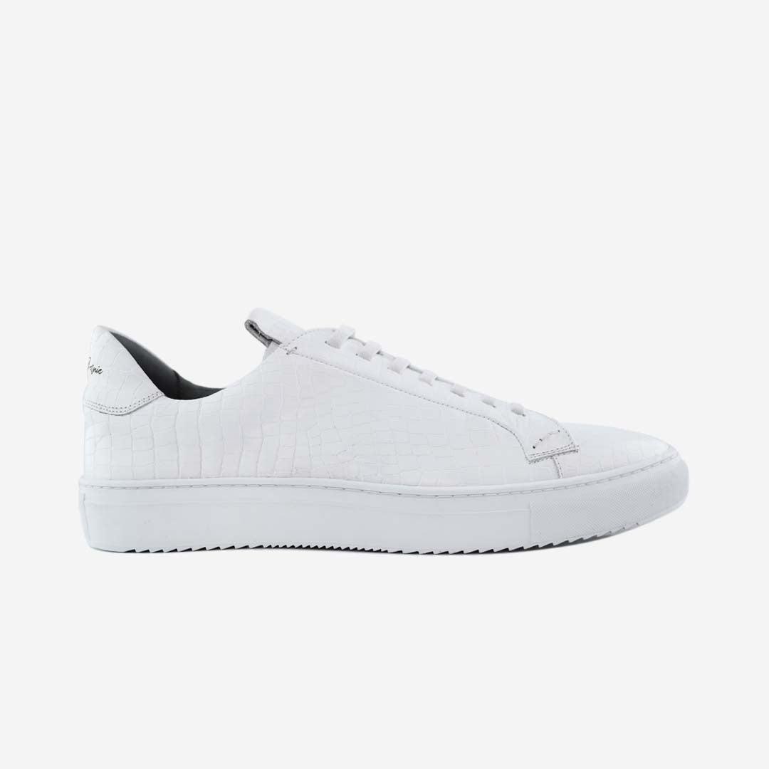 36's Laceless Low Top Product Image