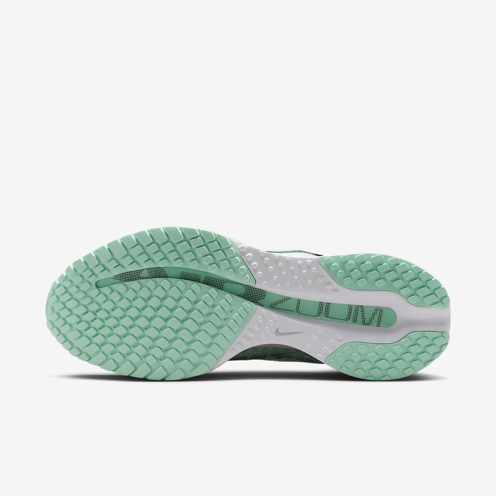 Nike Women's Pegasus Premium Road Running Shoes Product Image