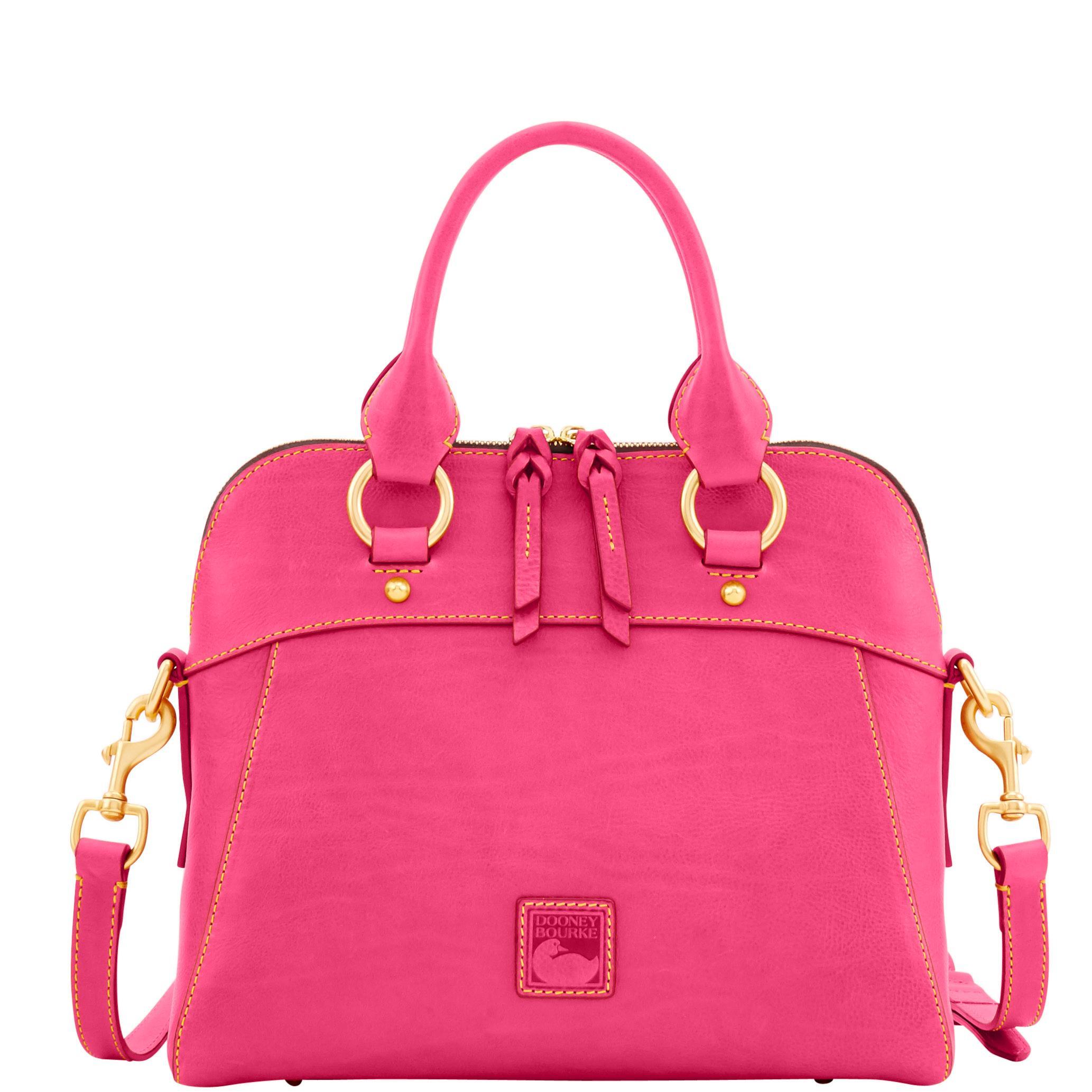 Dooney & Bourke Womens Florentine Cameron Leather Satchel Bag in Pale Blue Product Image