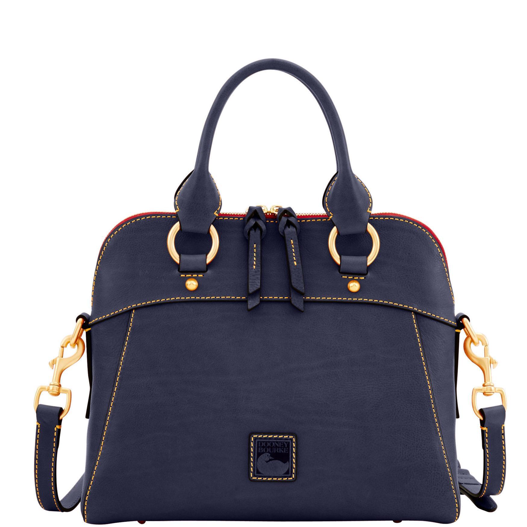 Dooney & Bourke Womens Florentine Cameron Leather Satchel Bag in Pale Blue Product Image