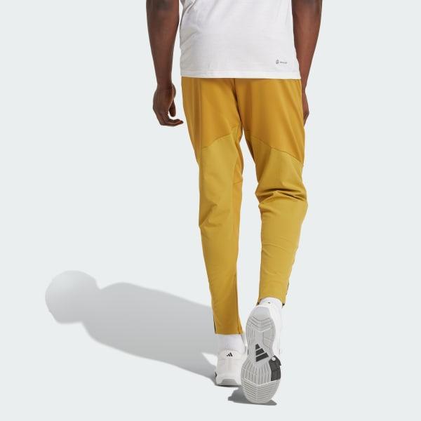 Designed for Training Hybrid Pants Product Image