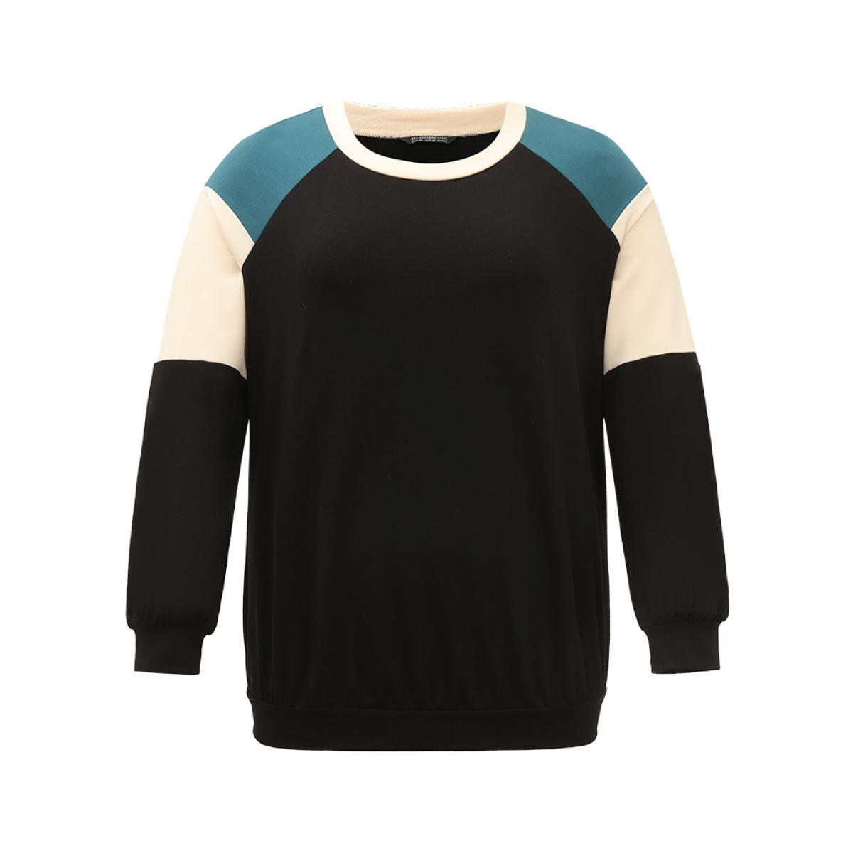 Plus Size Colorblock Contrast Raglan Sleeve Sweatshirt Women Black Casual Elastic cuffs Round Neck Dailywear Sweatshirts BloomChic 10/M Product Image