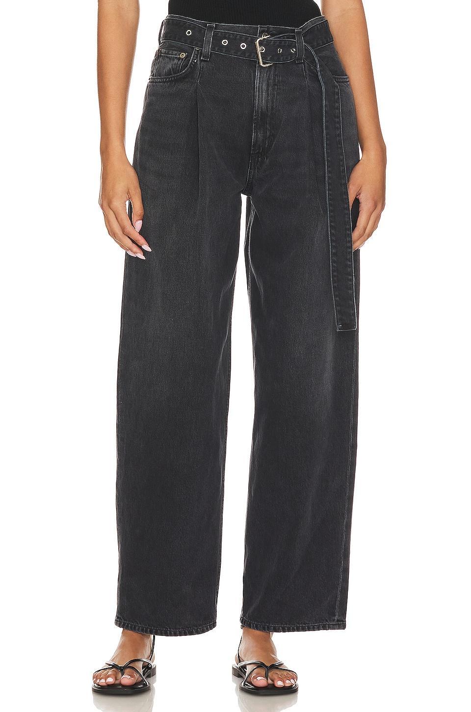 Belted Baggy AGOLDE Product Image