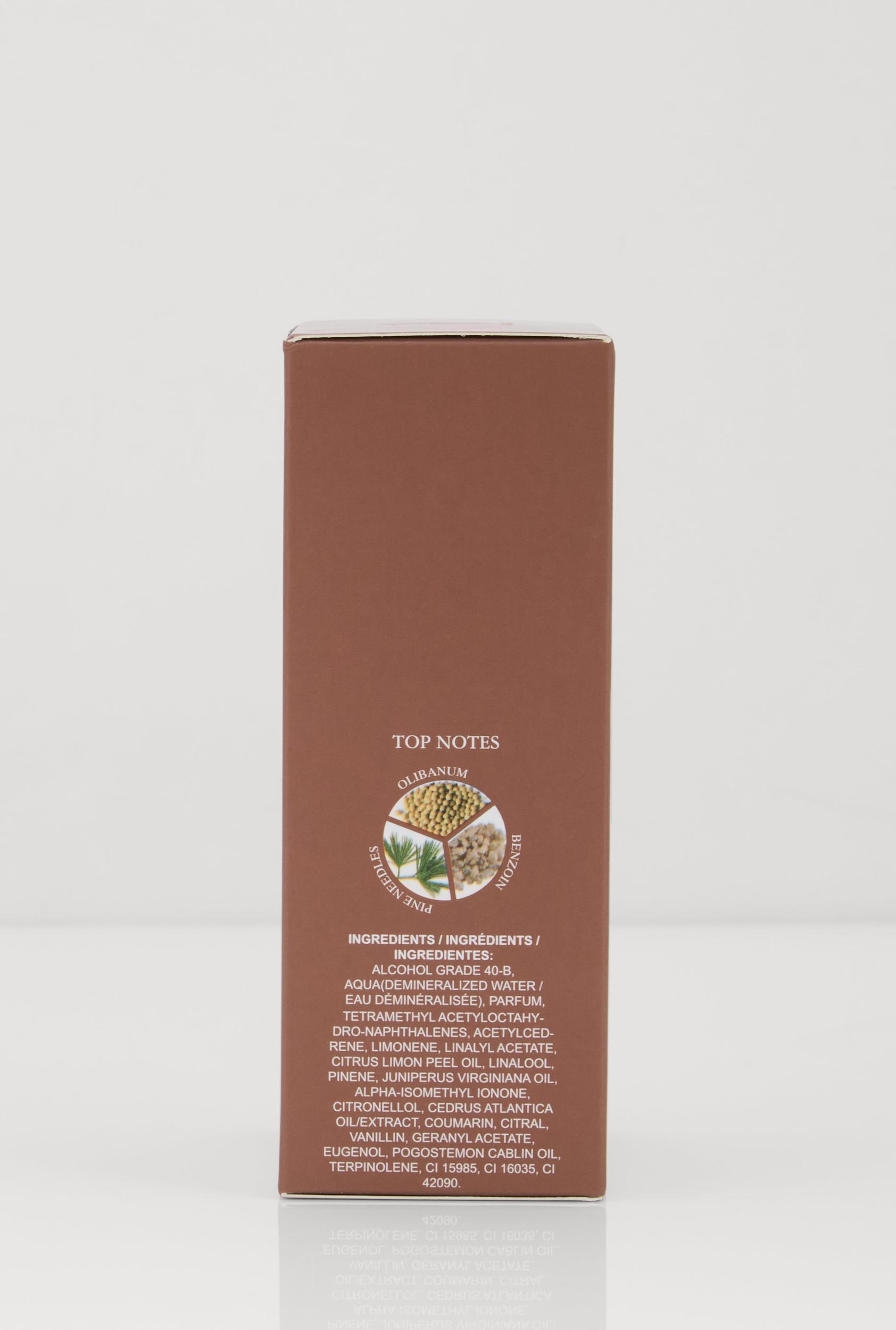 Mens Brave Cologne Male Product Image