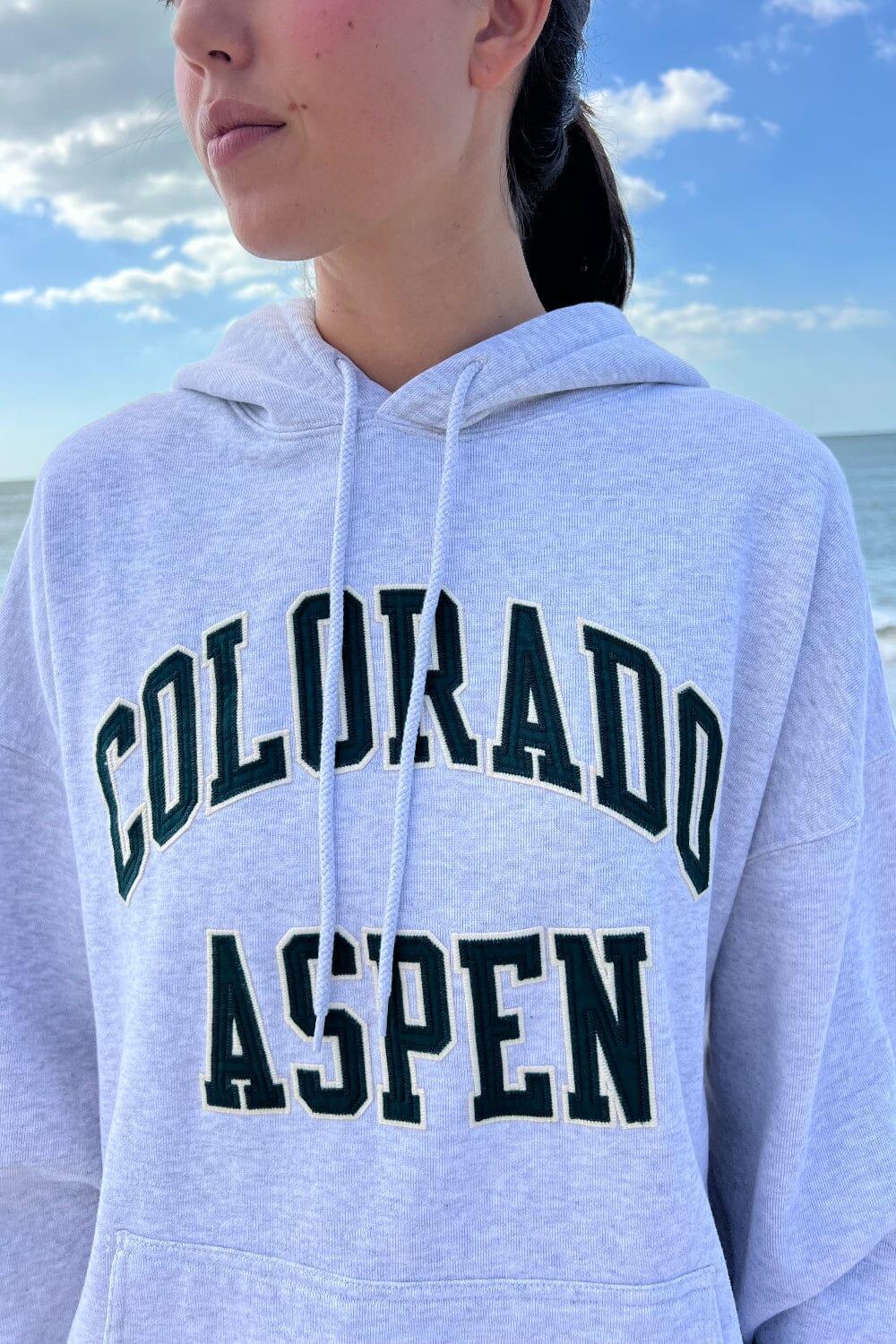 Colorado Aspen Hoodie Product Image