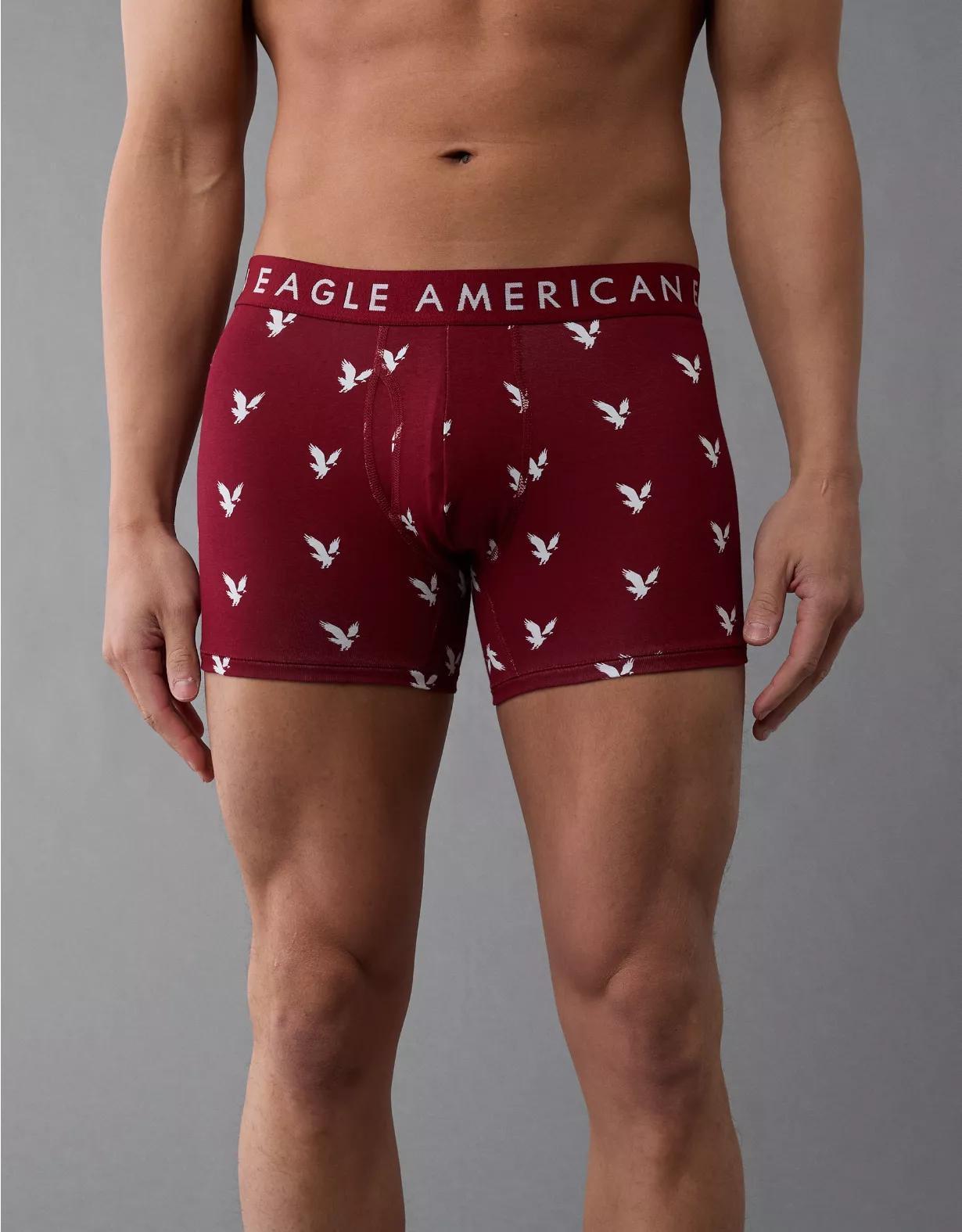 AEO Eagles 4.5" Classic Boxer Brief Product Image