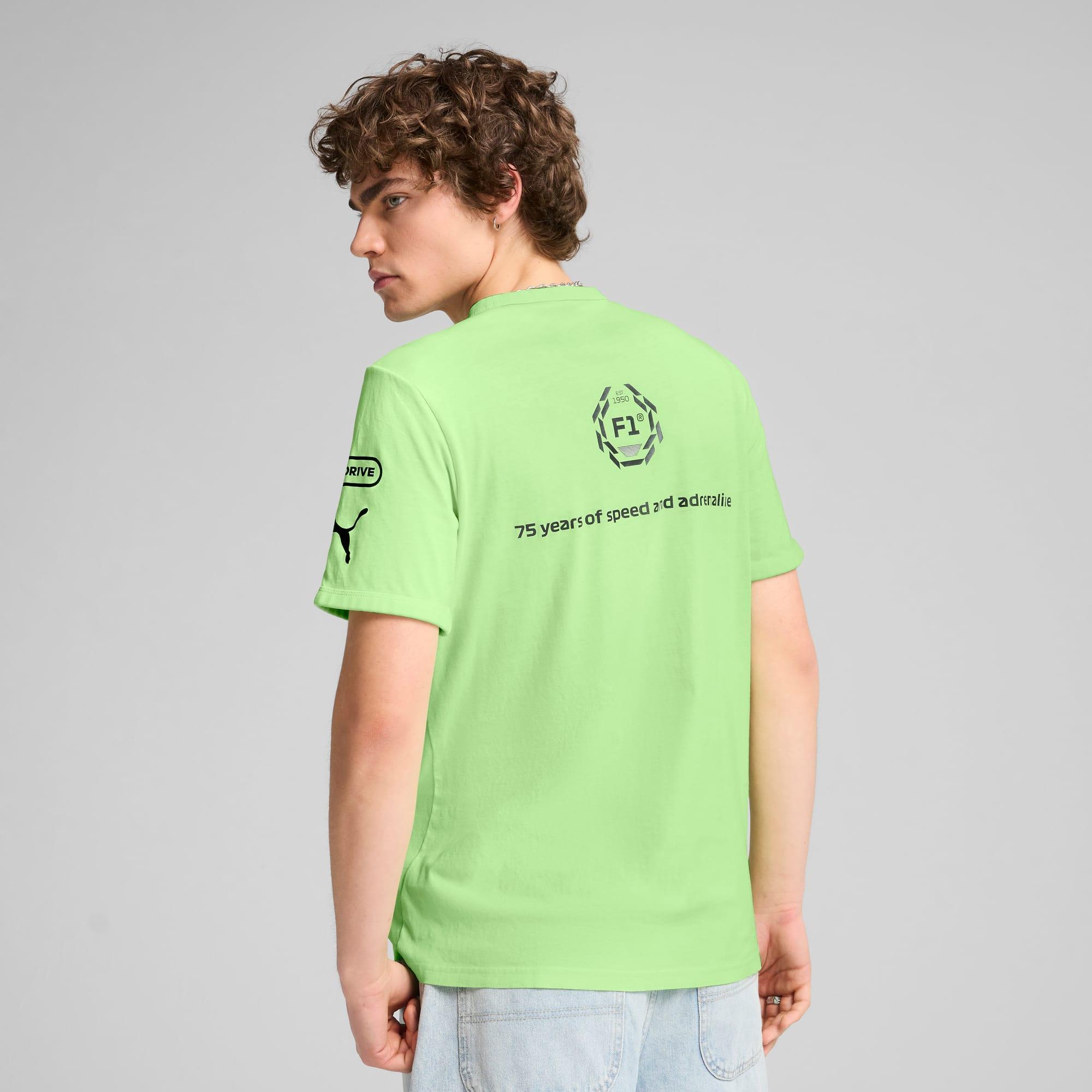 Formula 1® Men's Graphic Ringer Tee Product Image