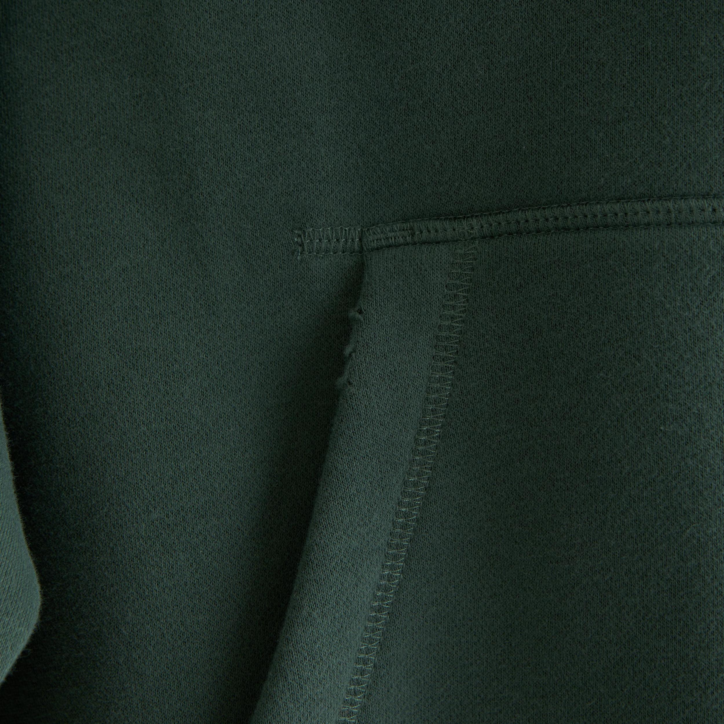 Sequoia Cropped Graphic Popover Hoodie Product Image