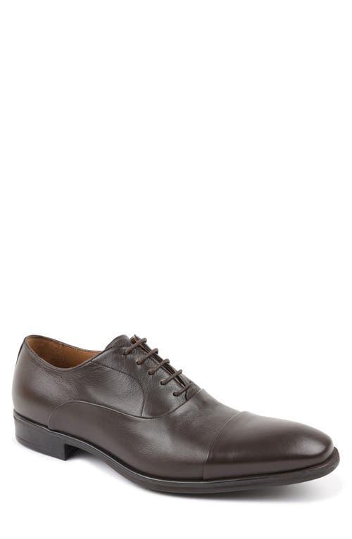 Bruno Magli Mens Locascio Cap Toe Oxfords Product Image