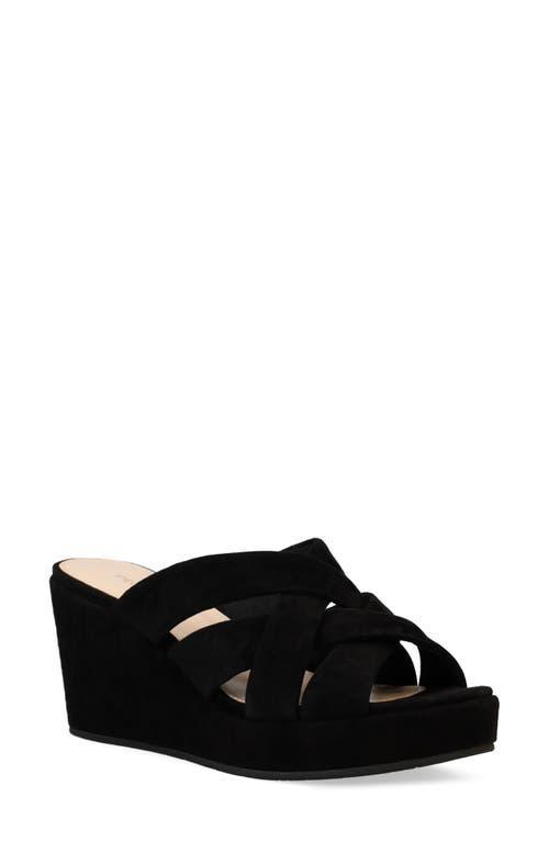Pelle Moda Wilona Women's Shoes Product Image