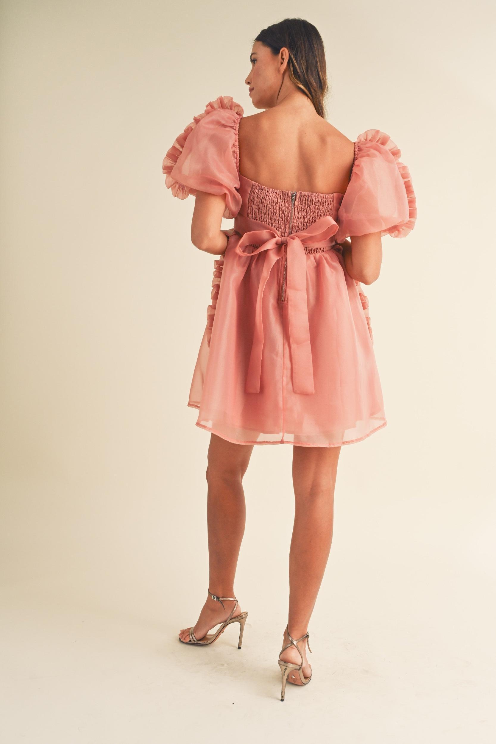 Organza Ruffle Mini Babydoll Dress Product Image