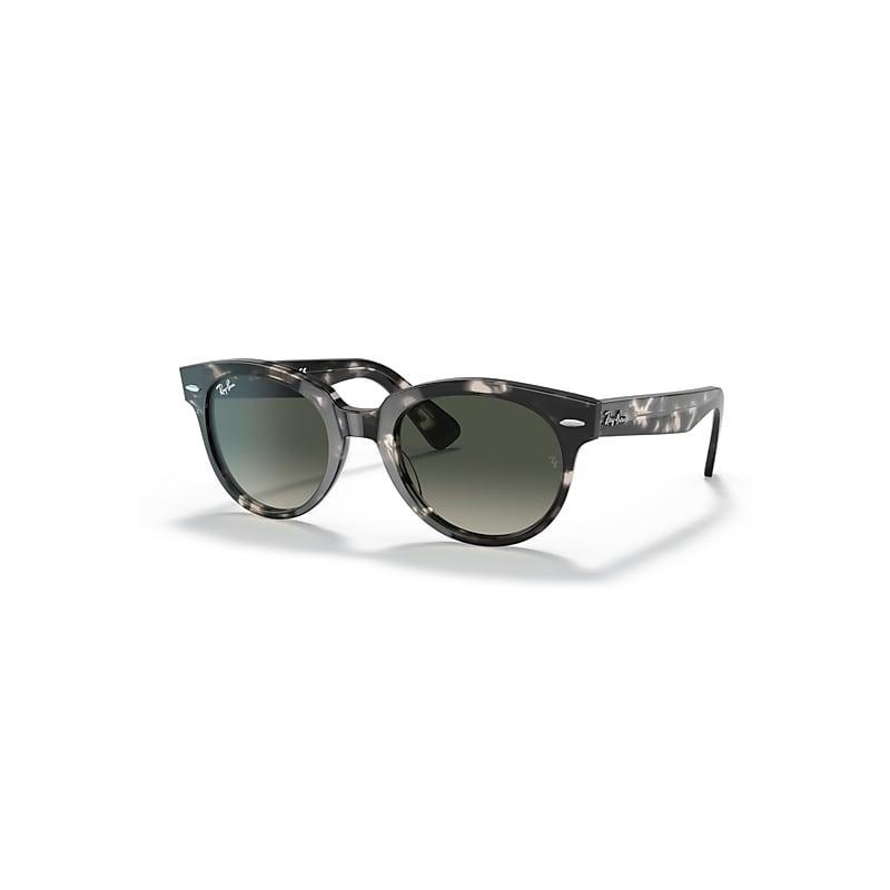 Ray-Ban Unisex Orion 52mm Havana Round Sunglasses Product Image