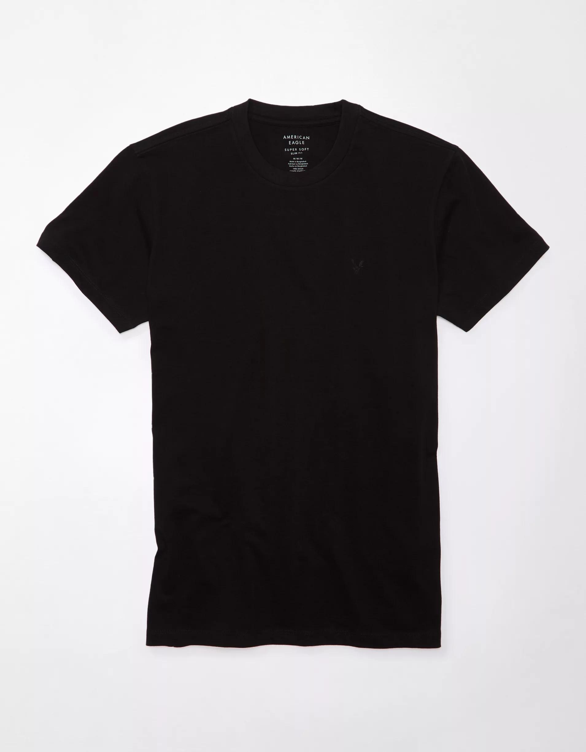 AE Lived-In Slim T-Shirt Product Image