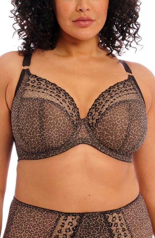 Elomi Plus Size Matilda Embroidered Sheer Plunging Convertible U-Back to Racerback Contour Wire Full Product Image