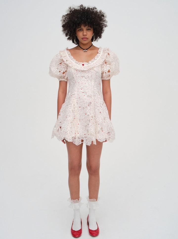 Aphrodite Embroidered Mini Dress — White Product Image