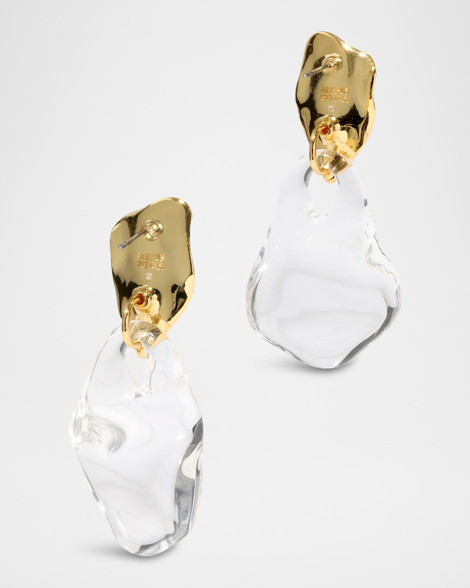 Liquid Lucite Wafer Earrings Product Image