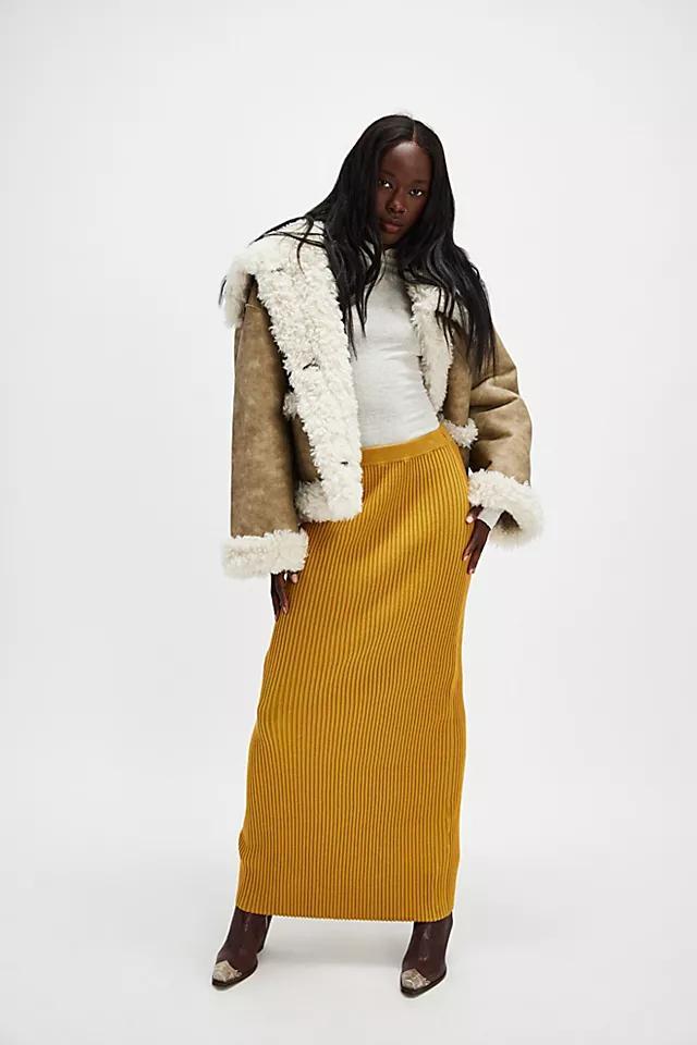 Clara Maxi Skirt Product Image