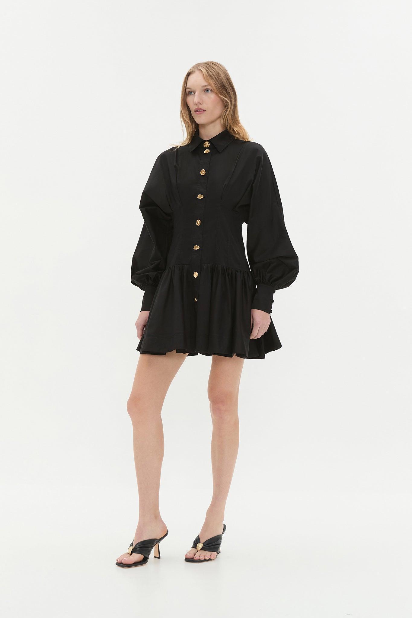 Alexa Long Sleeve Mini Dress Product Image