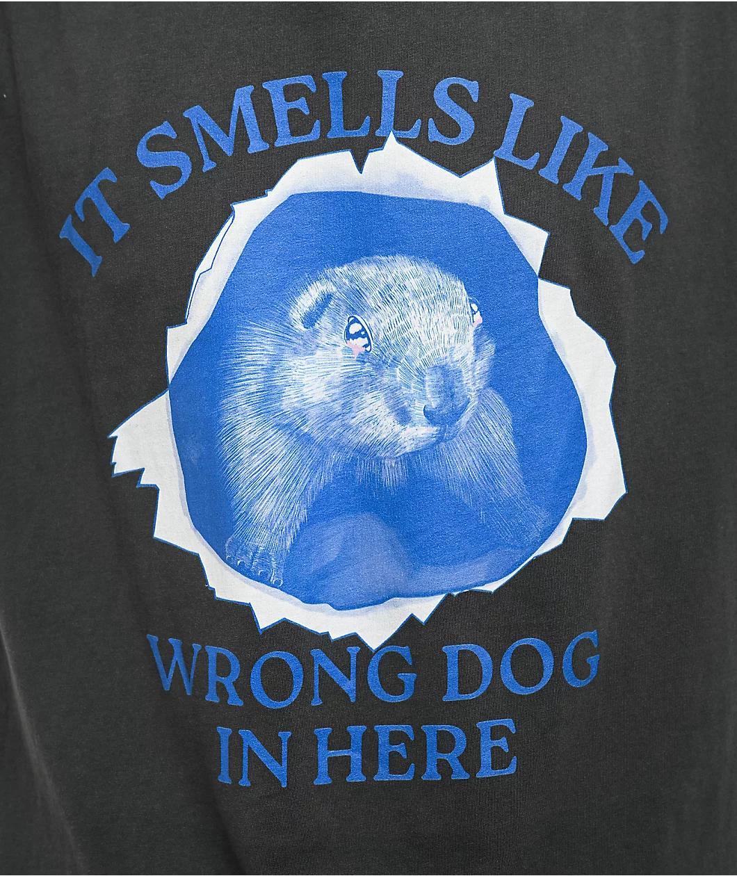 A.LAB Wrong Dog Washed Black T-Shirt Product Image