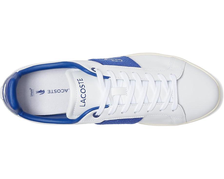 Chaymon Sneakers Product Image