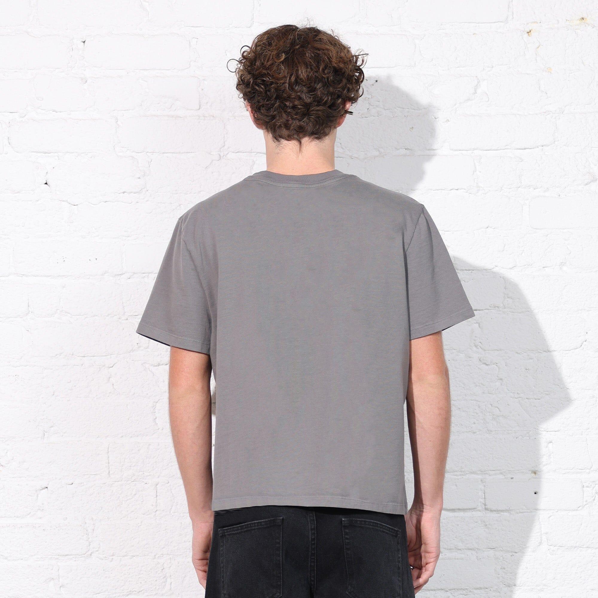 The Silverlake Crop Tee II Product Image