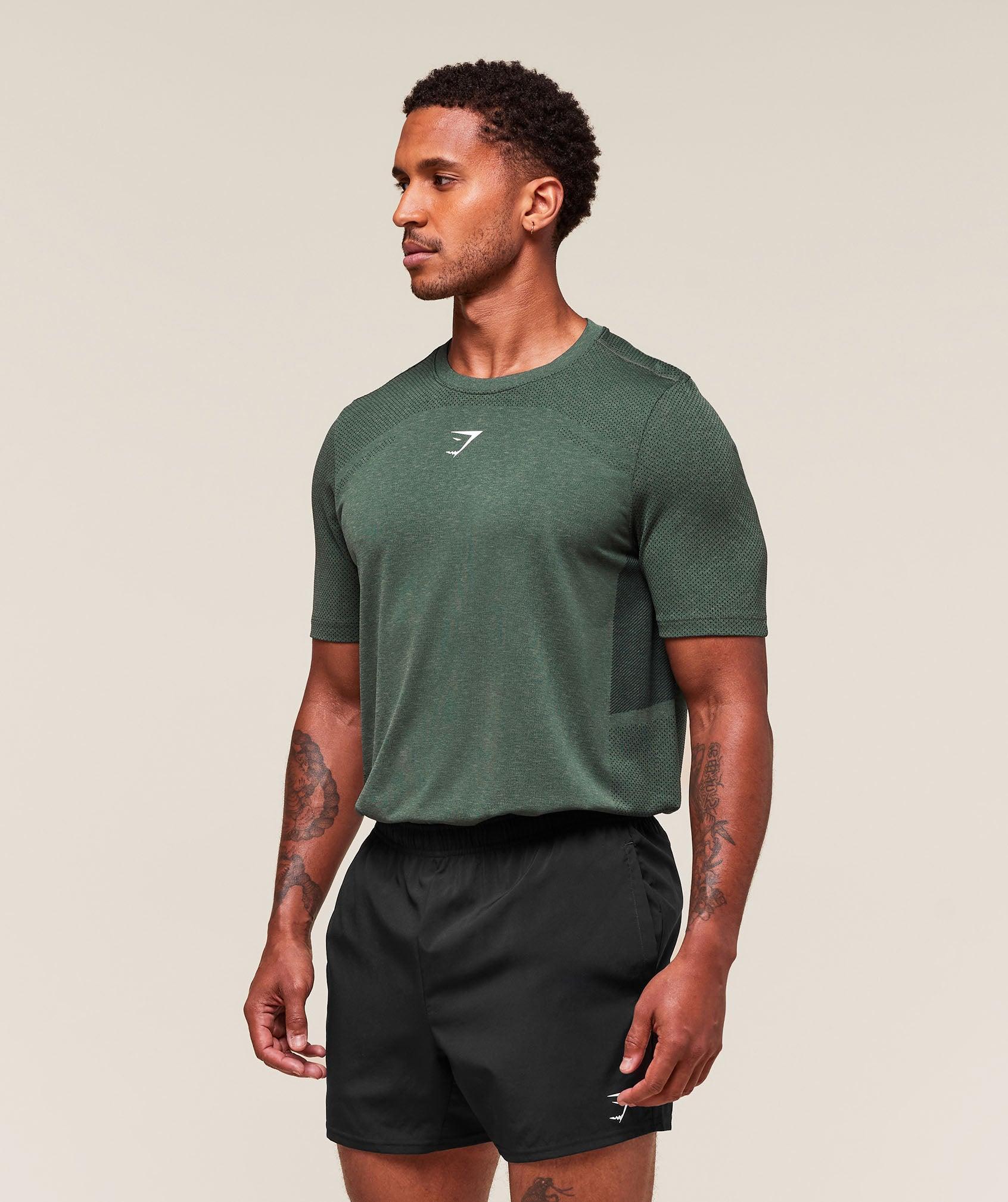 Gymshark Lightweight Seamless T-Shirt - Chalk Green/Base Green Male Product Image