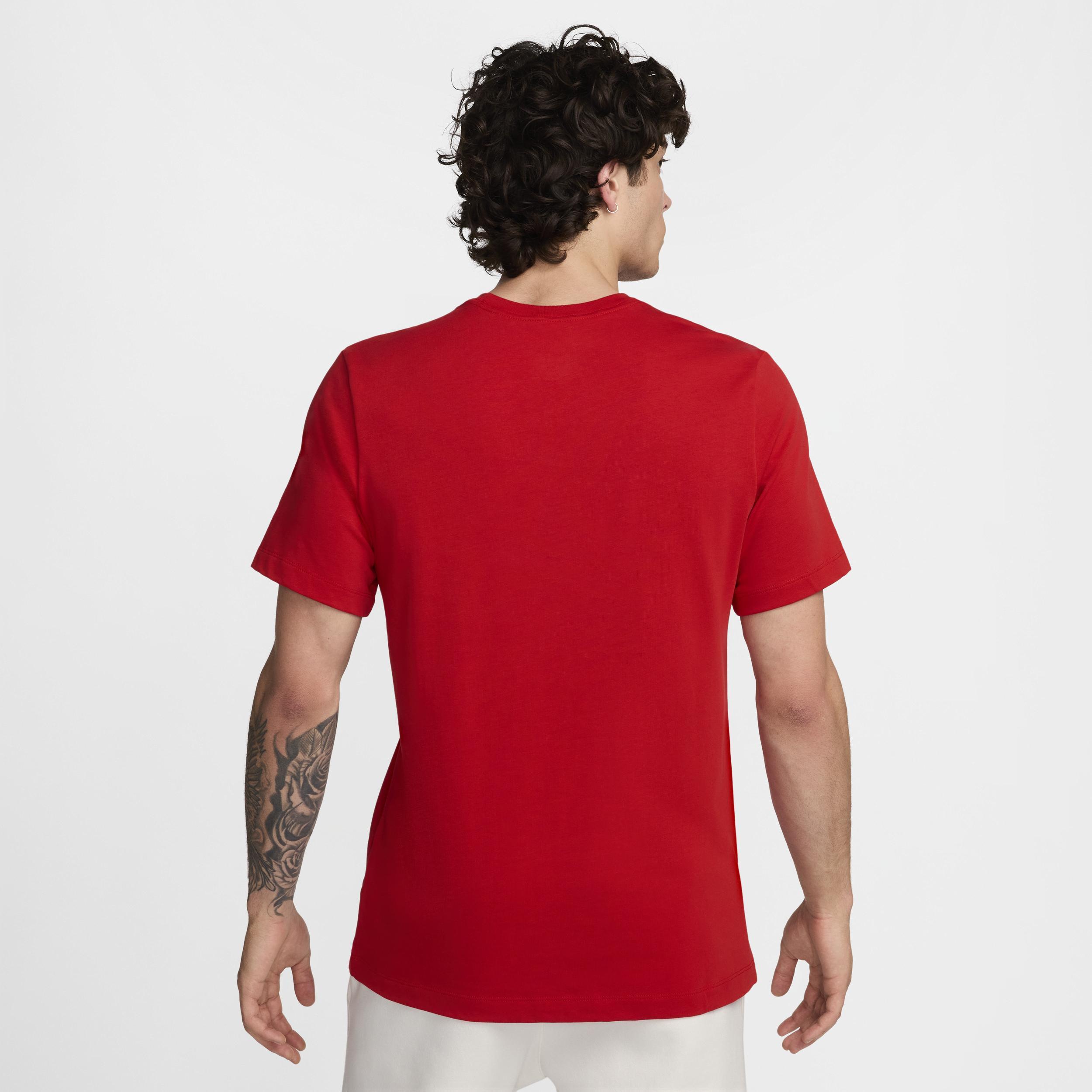 USA Premium Essential Icon Men's Nike T-Shirt Product Image