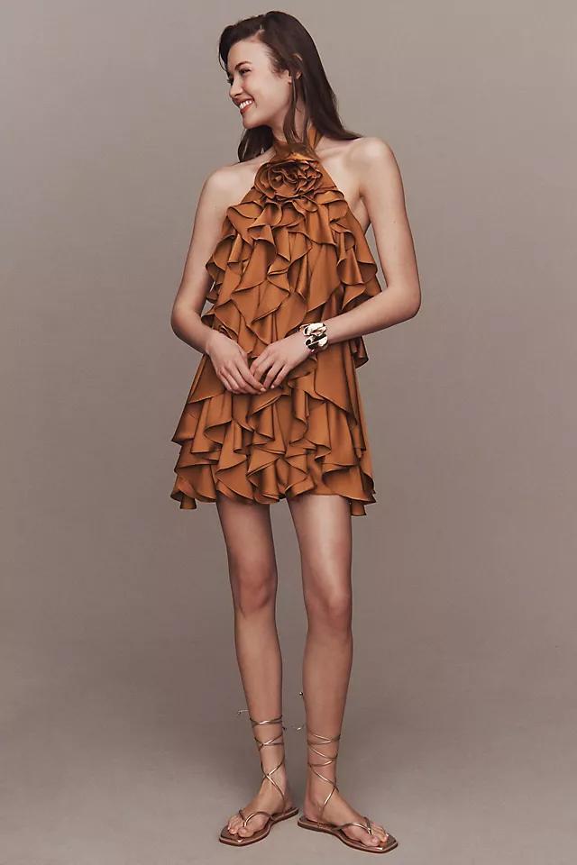 BHLDN Maria Rosette Ruffle Mini Dress Product Image