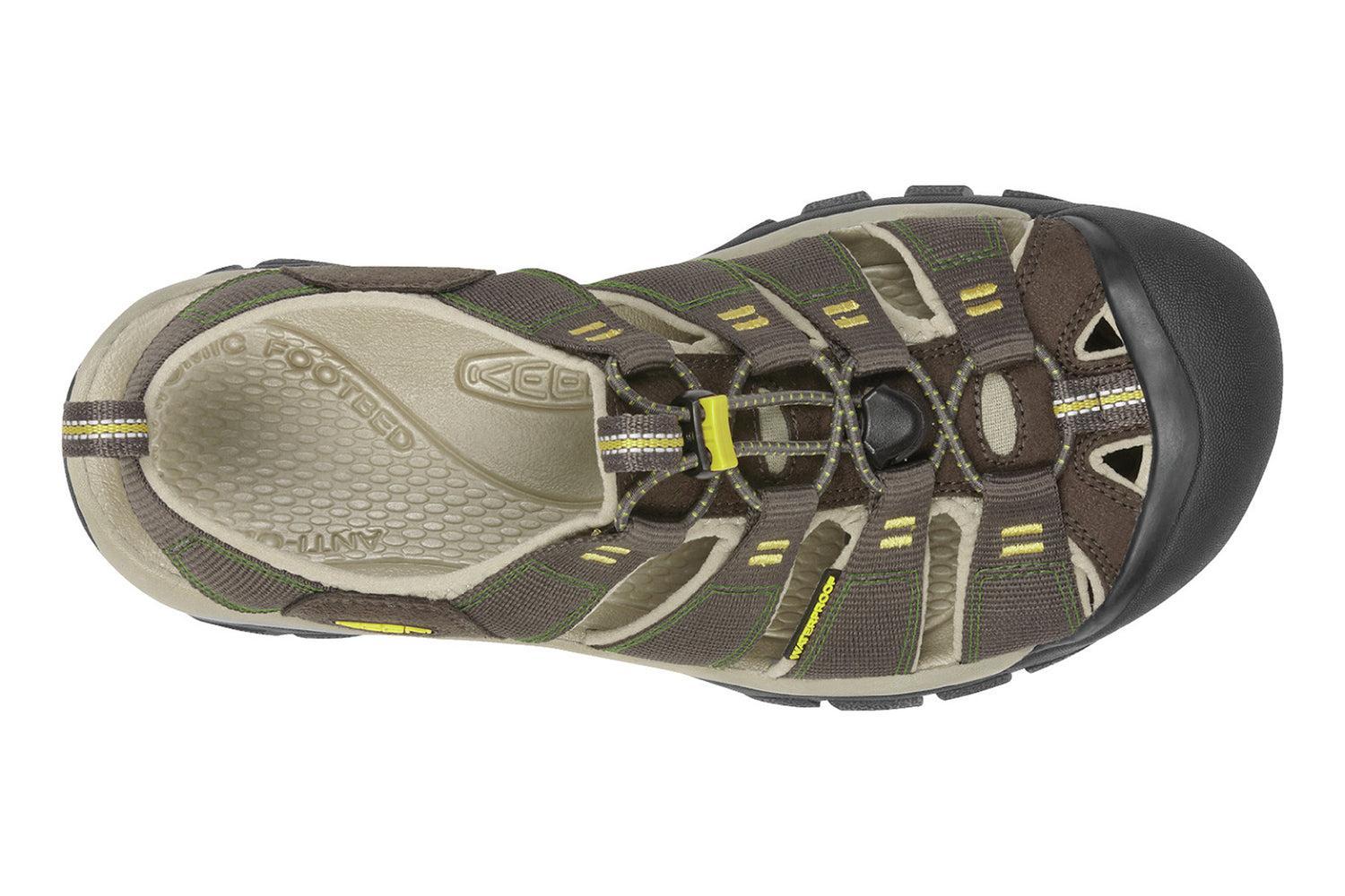 Newport H2 Product Image