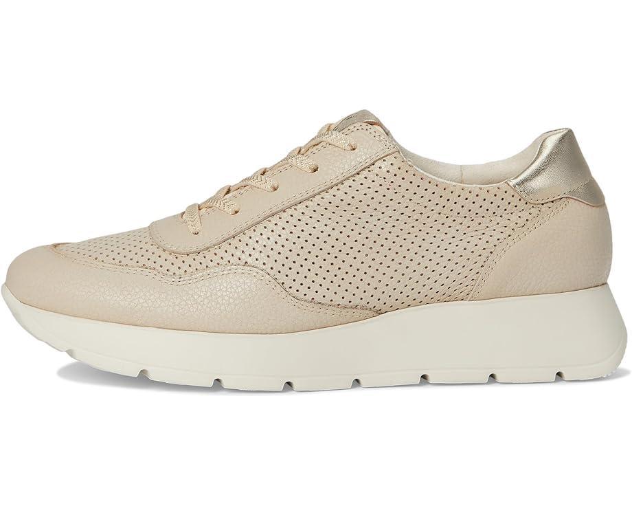 Urban Sneakers Product Image