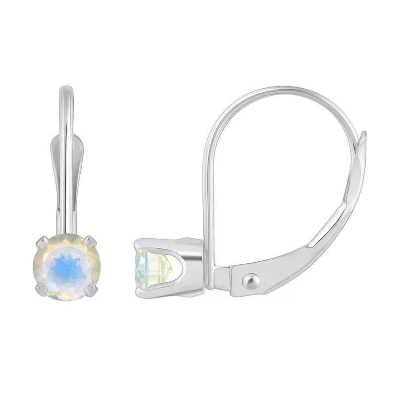 Celebration Gems 14k White Gold Gemstone Drop Earrings, Women's Product Image