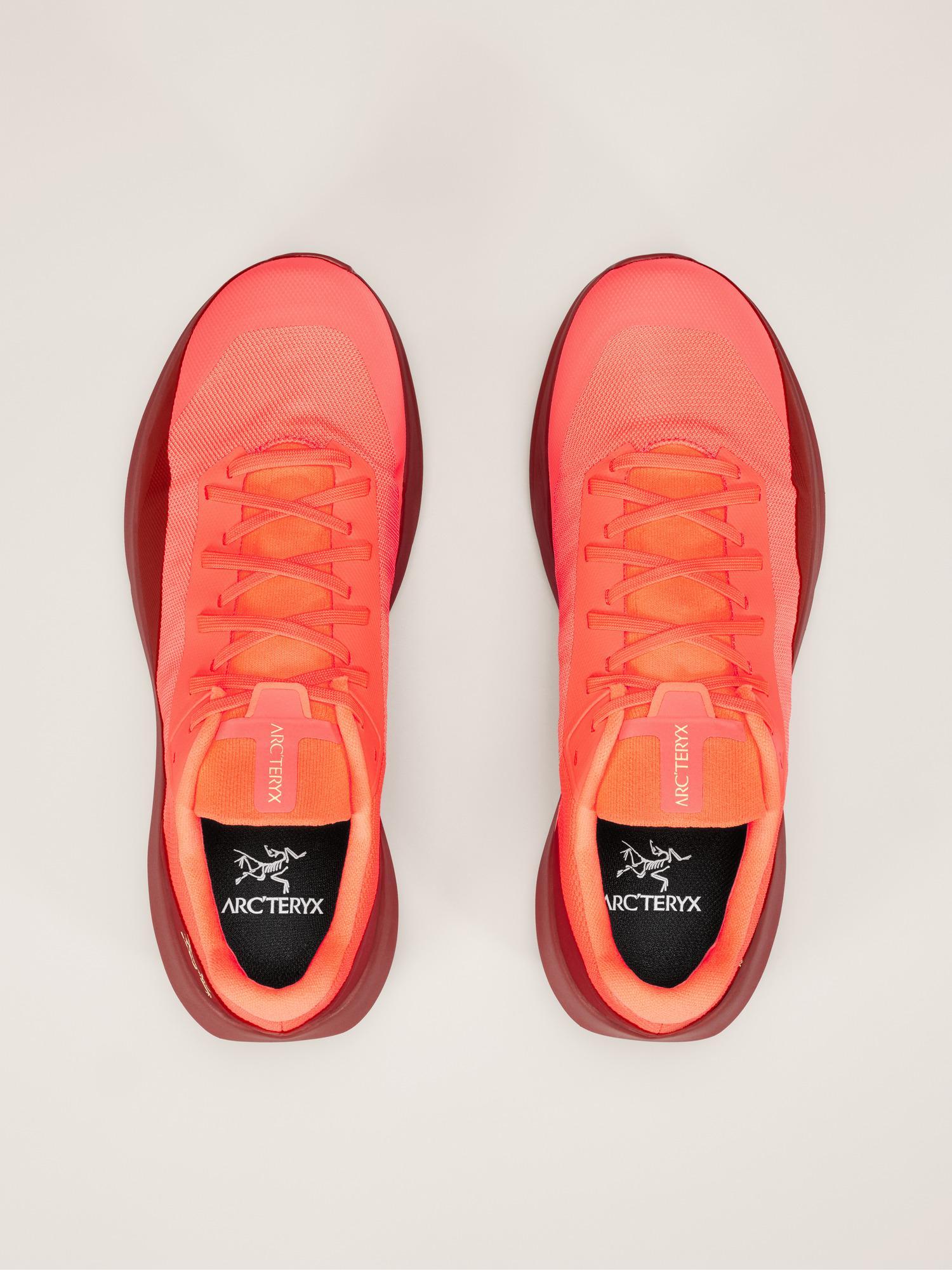 Norvan LD 4 Shoe Men's Product Image